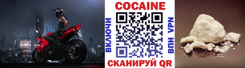 COCAIN Fish Scale Кочубеевское