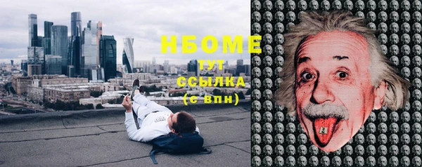 дмт Краснослободск
