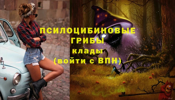 дживик Краснотурьинск