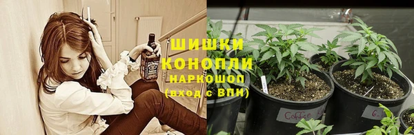 метадон Кодинск