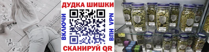 Конопля ГИДРОПОН  продажа наркотиков  Кочубеевское 